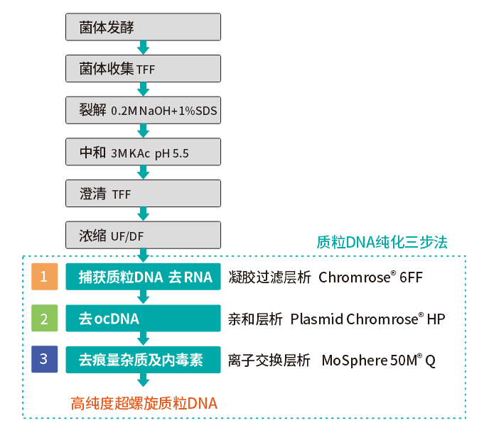 质粒纯化三步法流程图.png