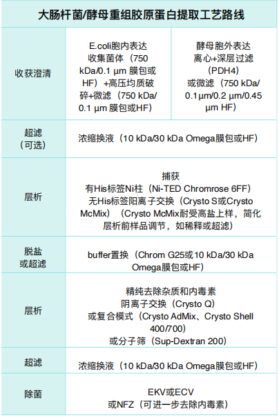 Table 2. ⼤肠杆菌酵⺟重组胶原蛋⽩提取⼯艺路线.jpg