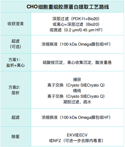 Table 3. CHO细胞重组胶原蛋⽩提取⼯艺路线.jpg